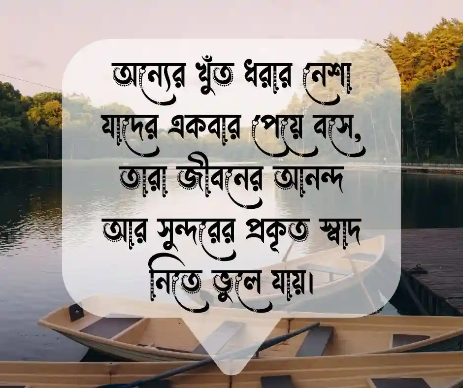 অন্যের দোষ খোঁজা নিয়ে উক্তি