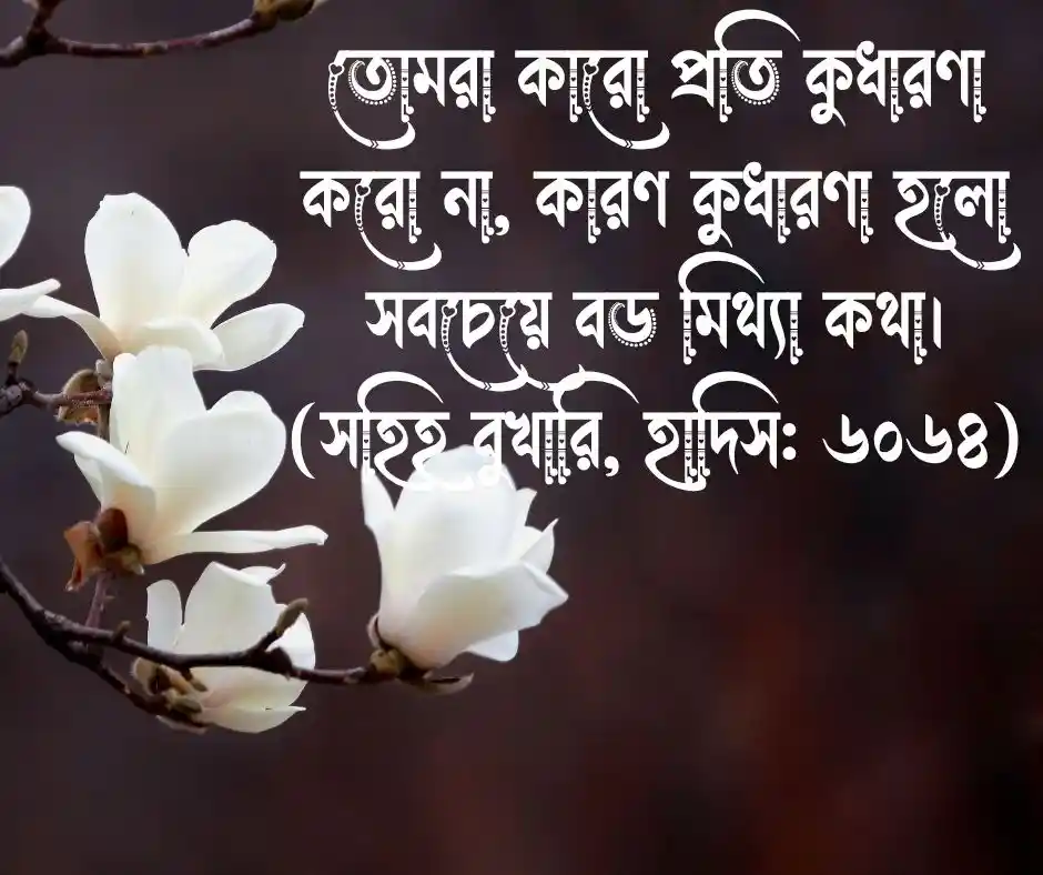 অন্যের দোষ খোঁজা নিয়ে হাদিস