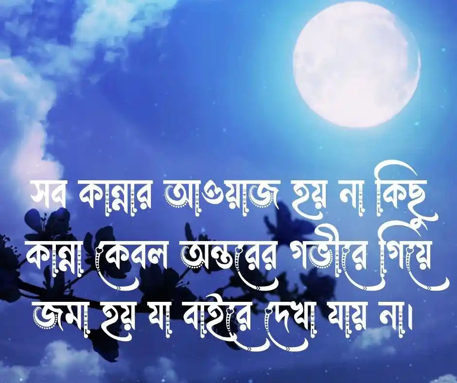 অশ্রু নিয়ে উক্তি
