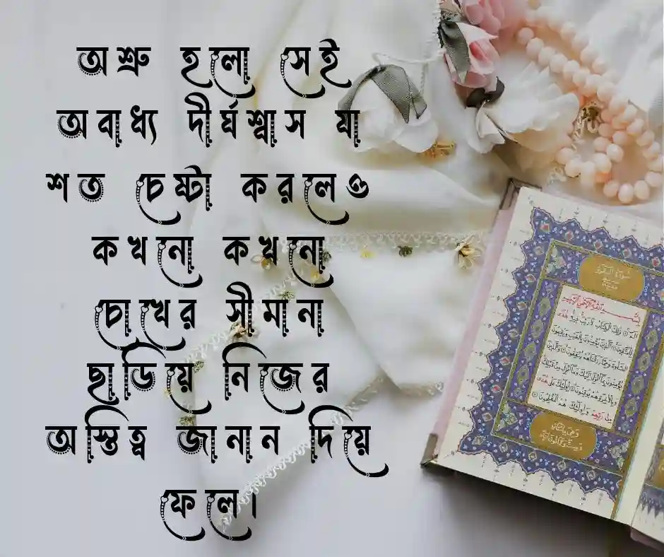অশ্রু নিয়ে ক্যাপশন অশ্রু নিয়ে স্ট্যাটাস