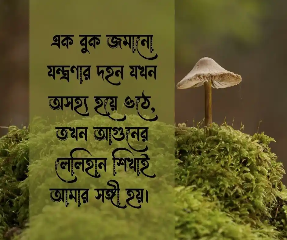 আগুন নিয়ে স্ট্যাটাস