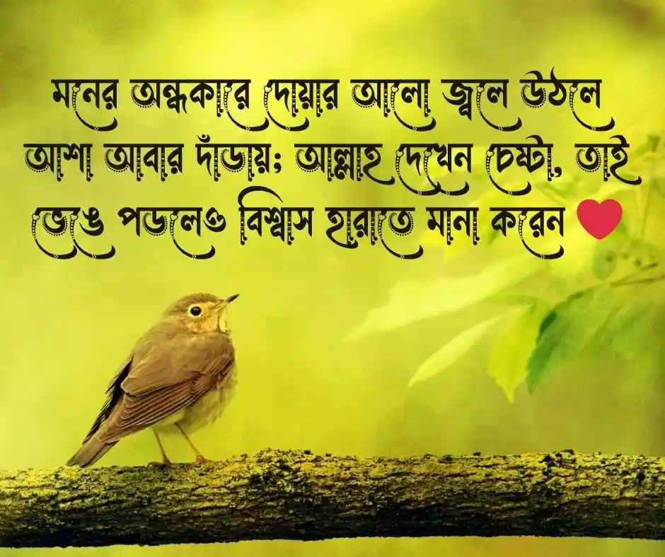 আশা নিয়ে ইসলামিক উক্তি