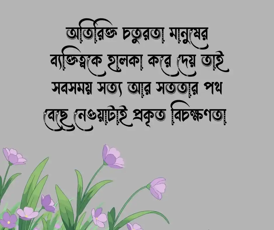 চালাকি নিয়ে ক্যাপশন চালাকি নিয়ে স্ট্যাটাস