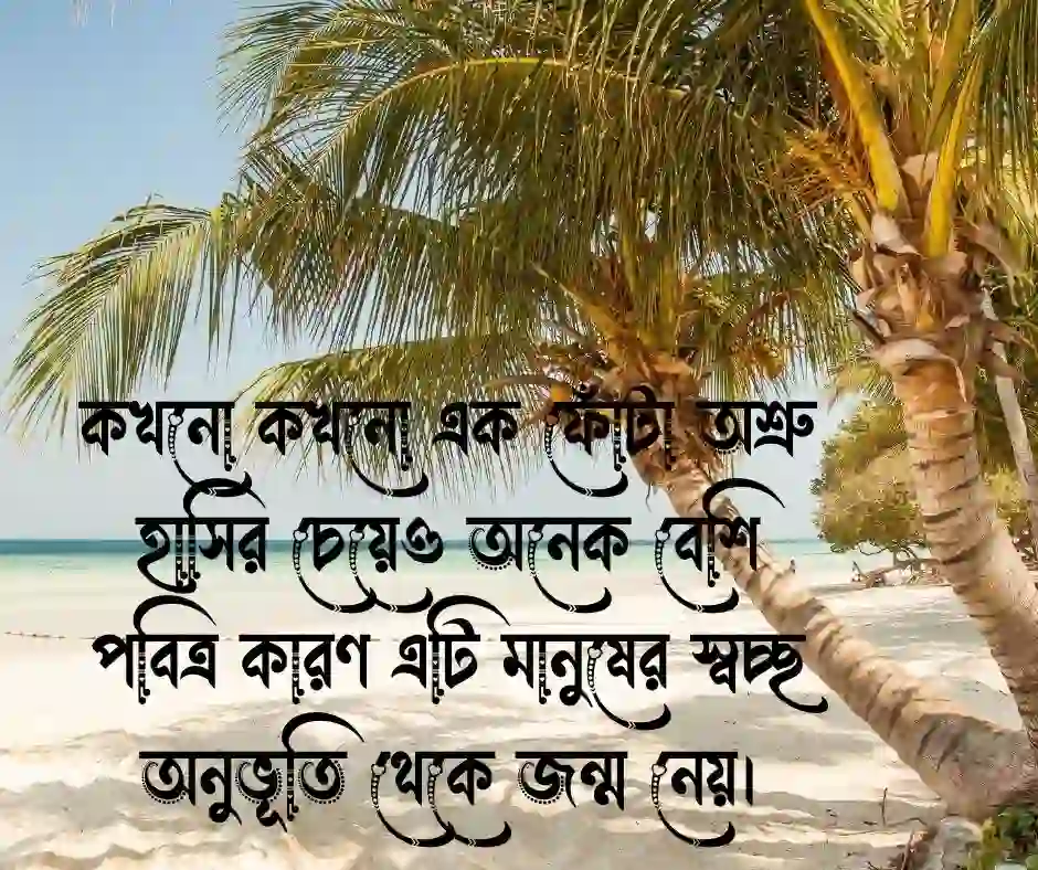 চোখের অশ্রু নিয়ে উক্তি