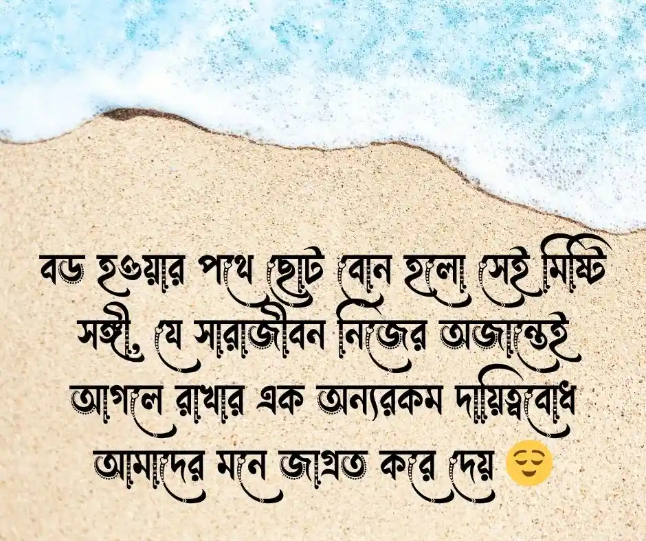 ছোট বোন নিয়ে স্ট্যাটাস