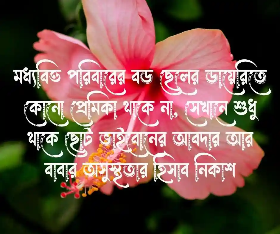জবা ফুল নিয়ে ক্যাপশন