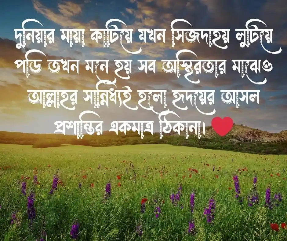 জীবন নিয়ে ইসলামিক উক্তি