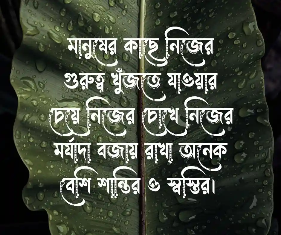 জীবন নিয়ে উক্তি