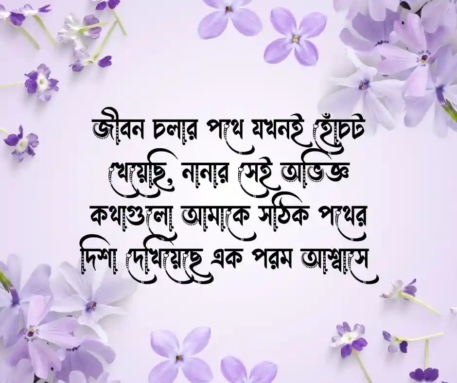 নানাকে নিয়ে কিছু কথা
