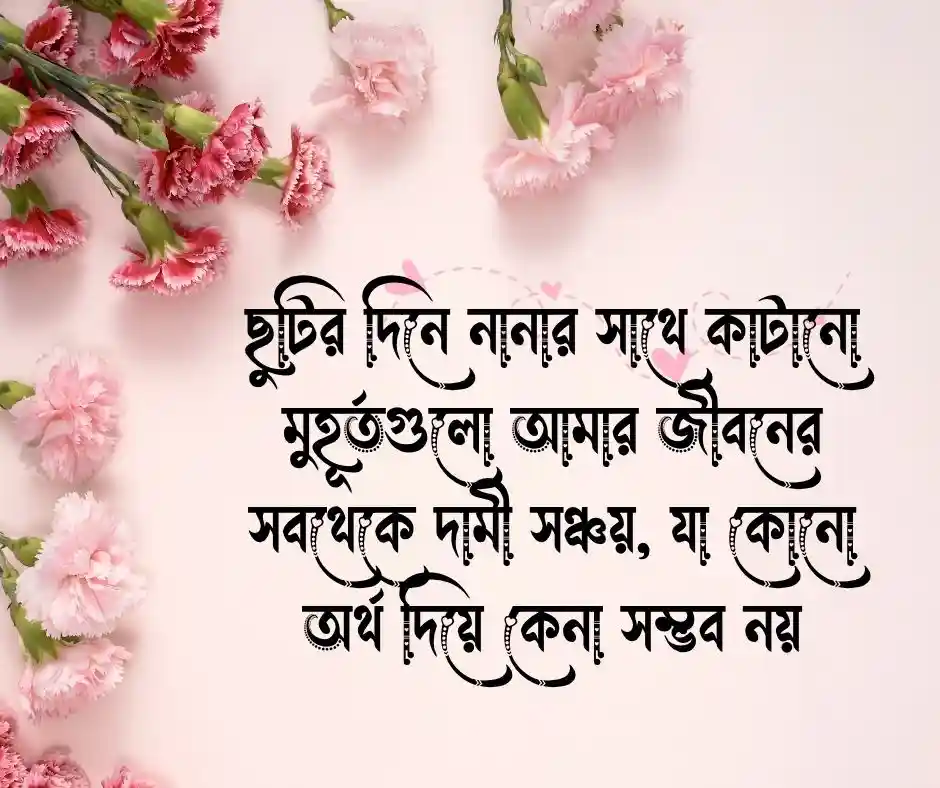 নানাকে নিয়ে স্ট্যাটাস নানাকে নিয়ে ক্যাপশন