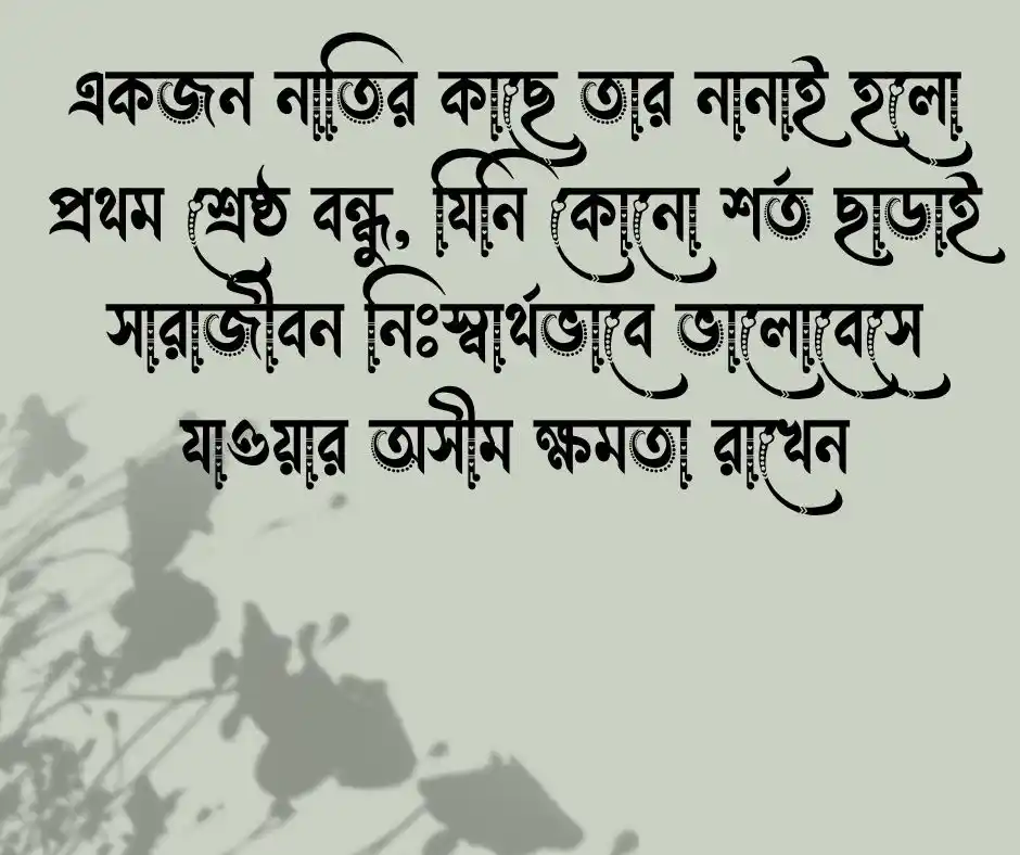 নানা নাতির ভালোবাসা ক্যাপশন