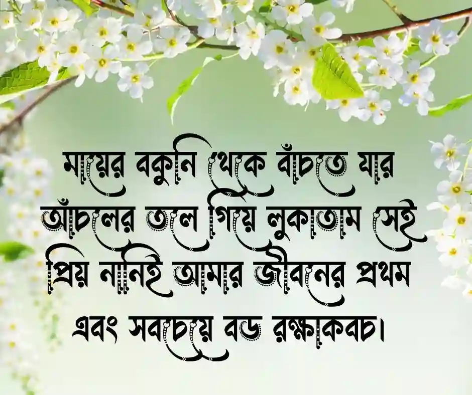 নানিকে নিয়ে কিছু কথা নানীকে নিয়ে কিছু কথা