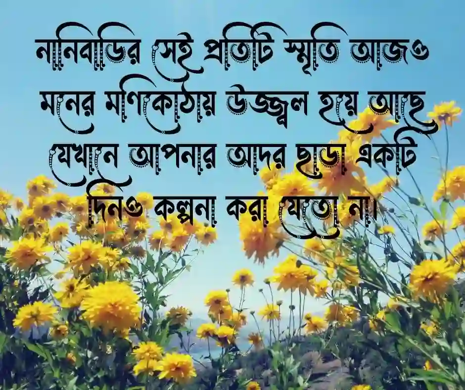নানি কে নিয়ে ক্যাপশন নানীকে নিয়ে ক্যাপশন
