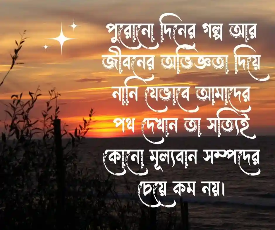 নানি কে নিয়ে স্ট্যাটাস