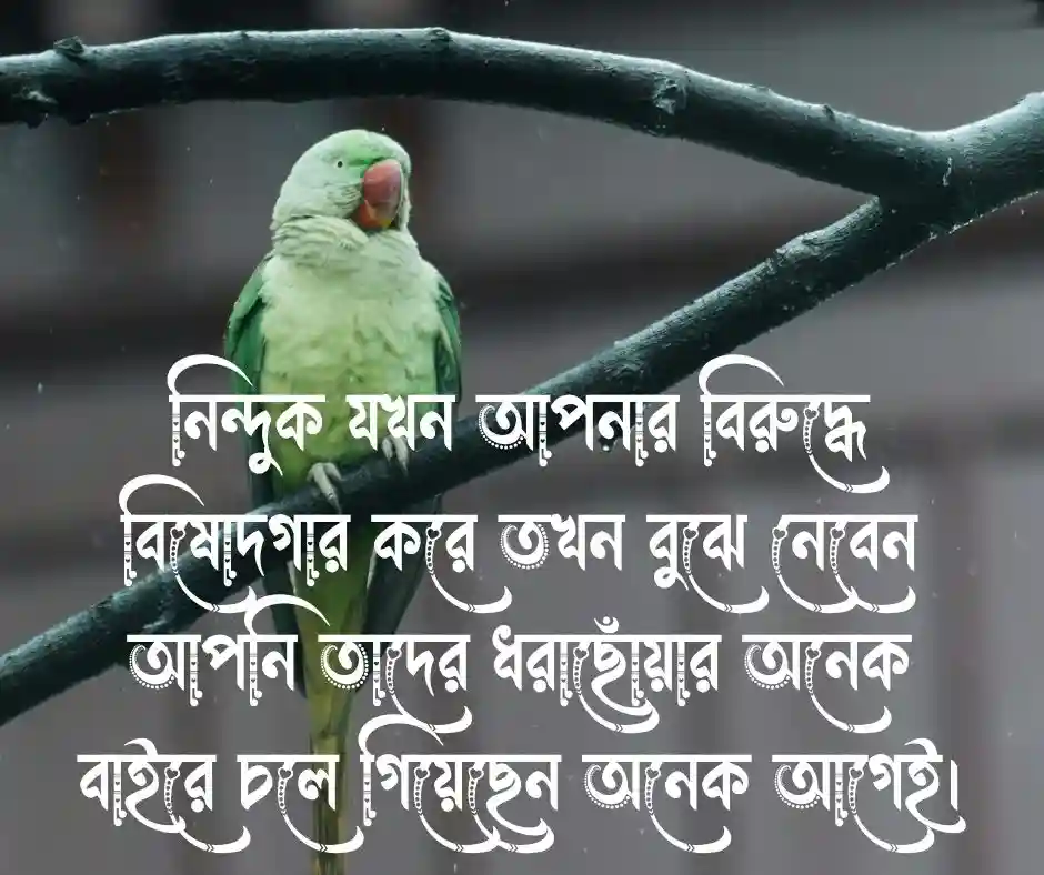 নিন্দুক নিয়ে ক্যাপশন নিন্দুক নিয়ে স্ট্যাটাস