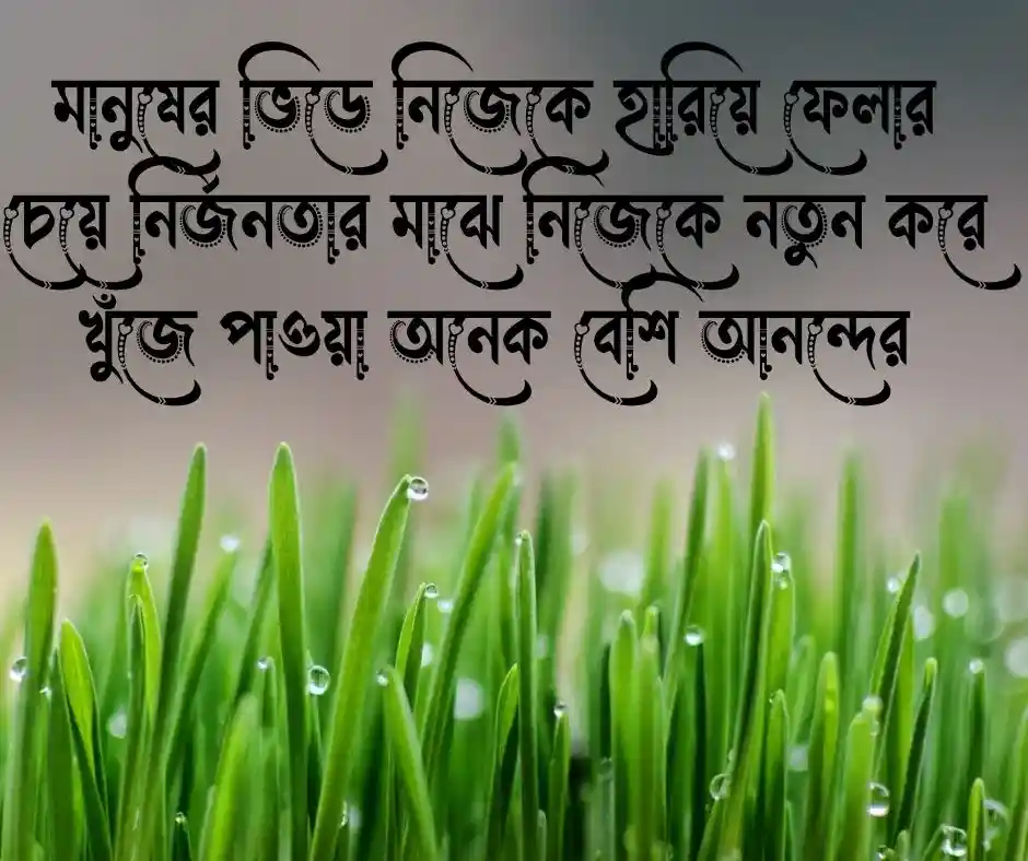 নির্জনতা নিয়ে উক্তি