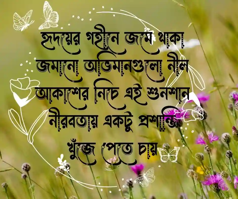 নির্জনতা নিয়ে ক্যাপশন