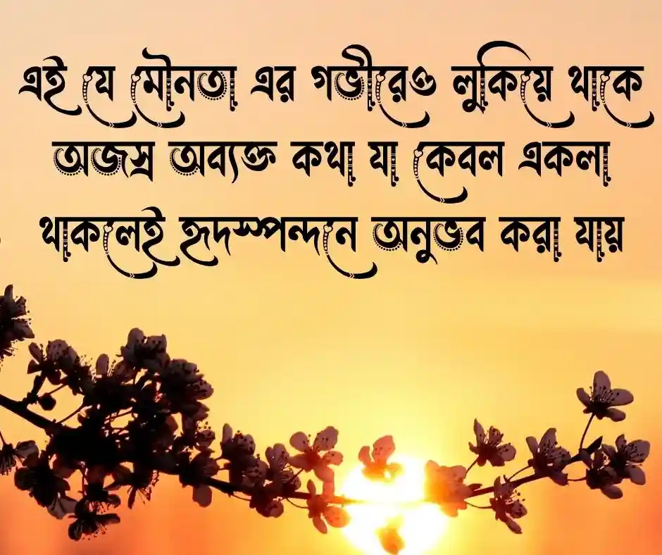 নির্জনতা নিয়ে স্ট্যাটাস