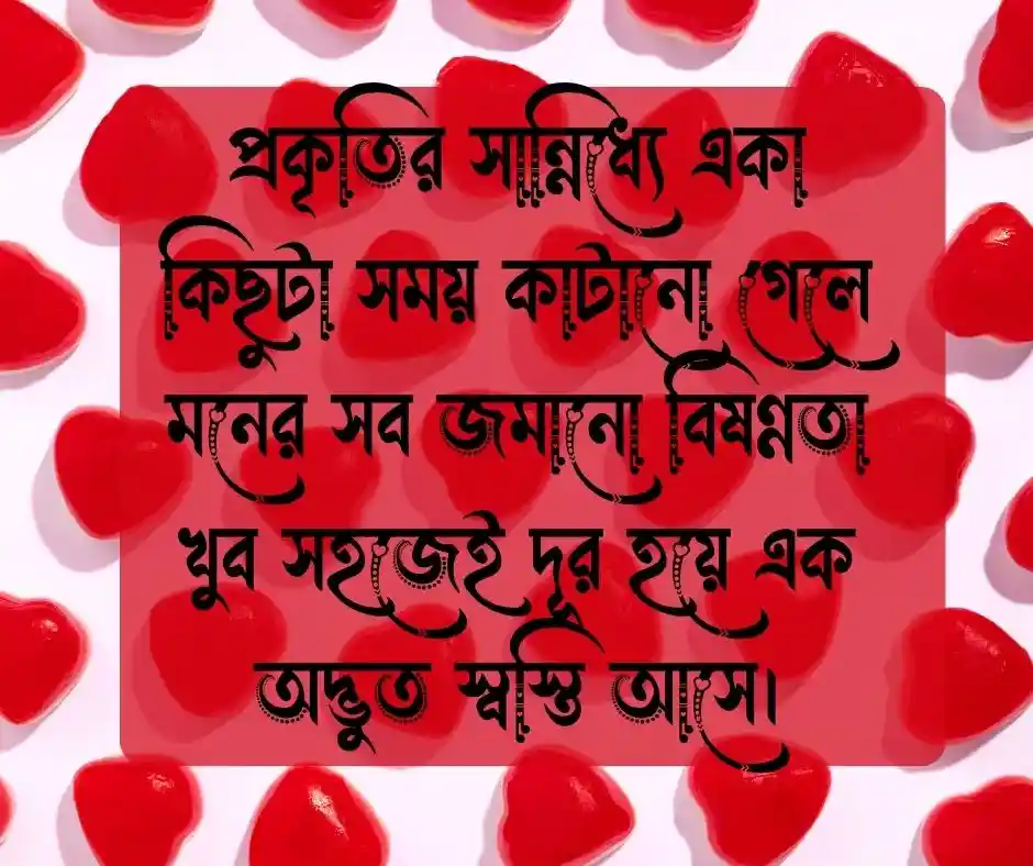 নিস্তব্ধতা নিয়ে ক্যাপশন নিস্তব্ধতা নিয়ে স্ট্যাটাস