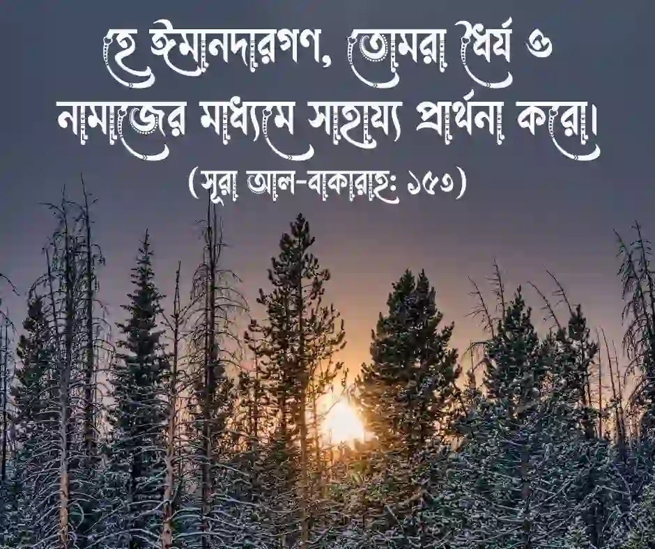 পবিত্র কুরআনের মোটিভেশনাল আয়াত - সেরা মোটিভেশনাল উক্তি