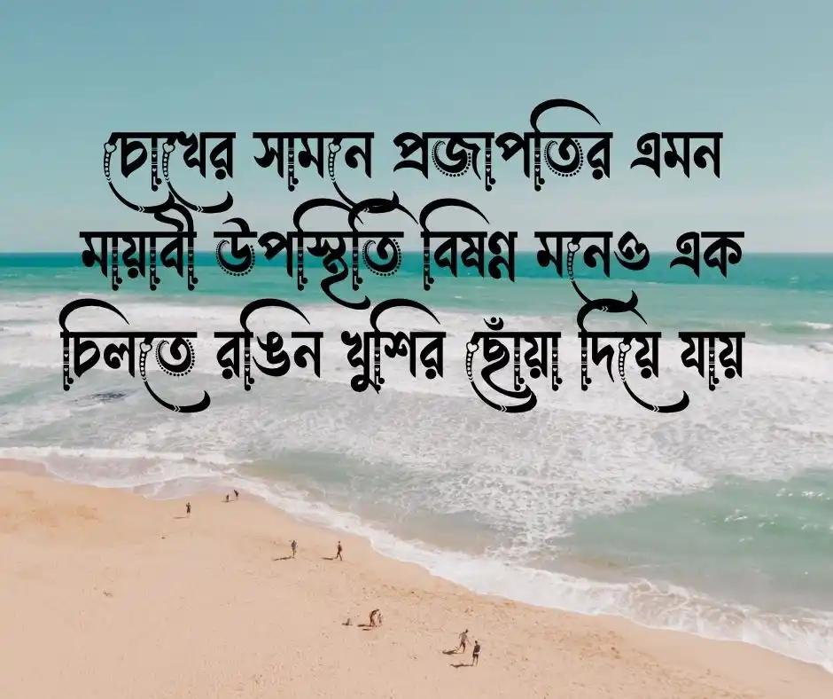 প্রজাপতির ছবি প্রজাপতির পিক