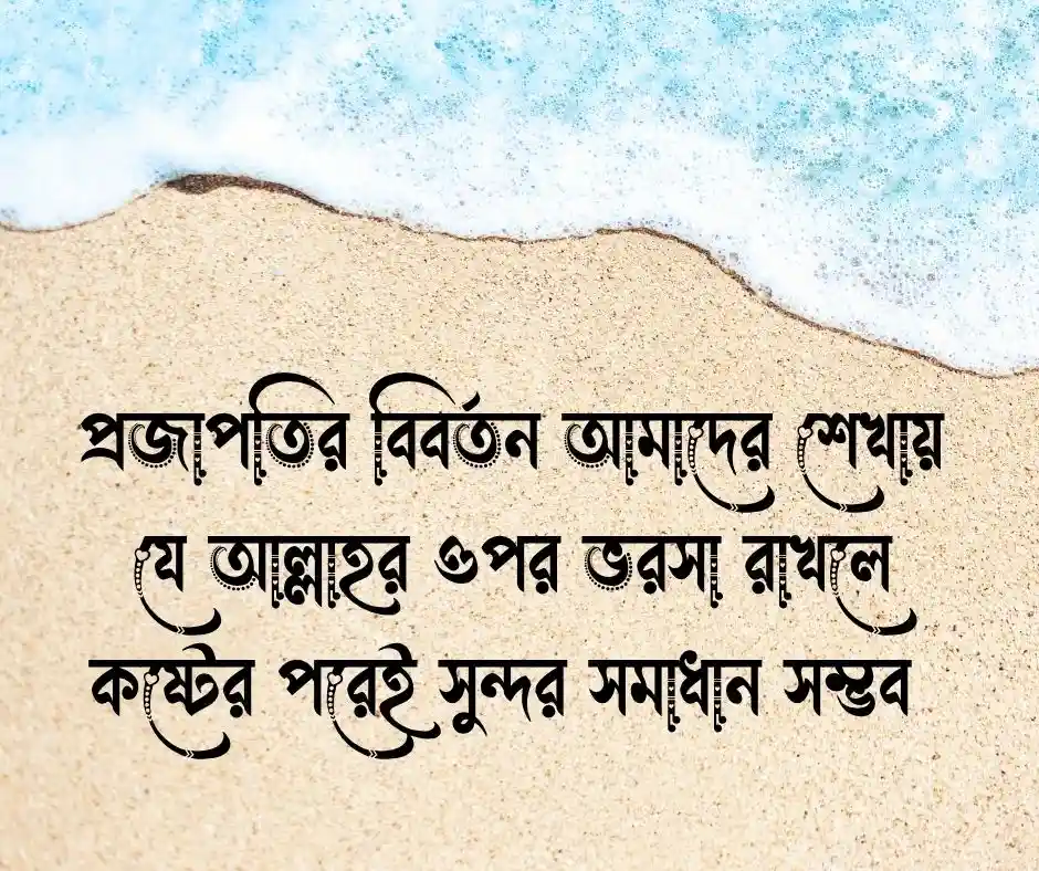 প্রজাপতি নিয়ে ইসলামিক ক্যাপশন