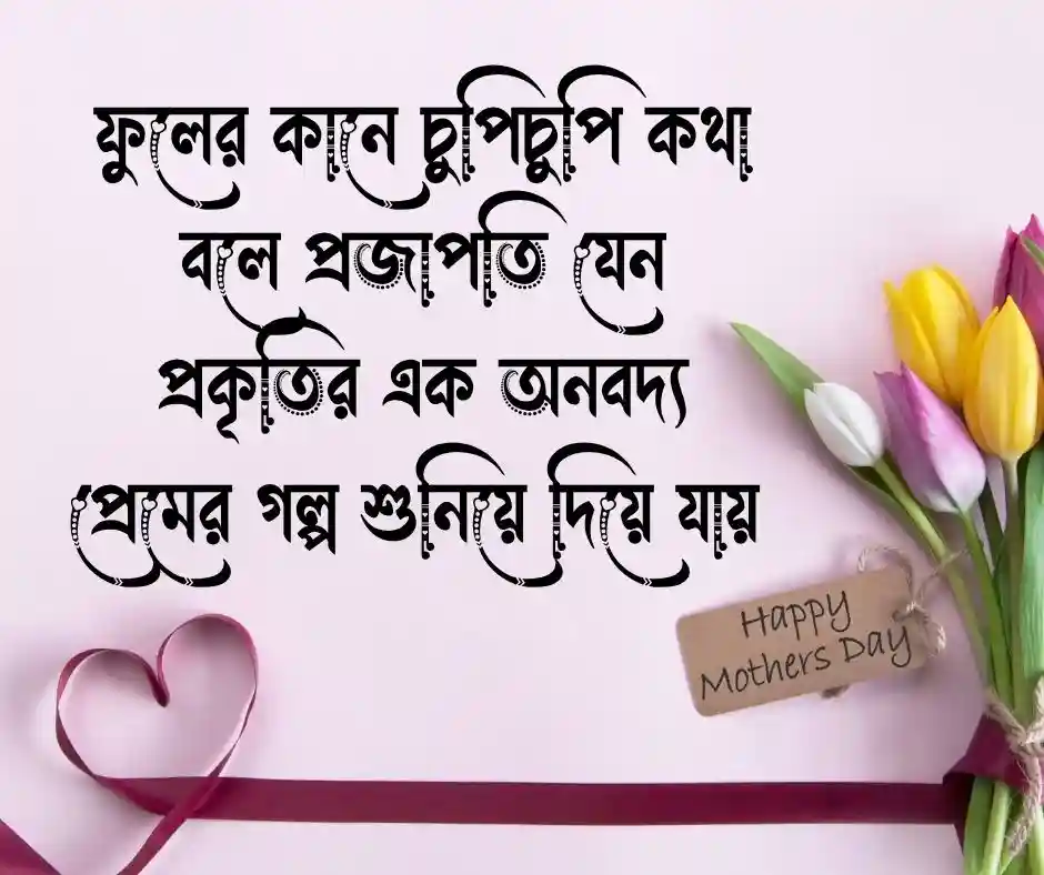 প্রজাপতি নিয়ে ক্যাপশন প্রজাপতি নিয়ে স্ট্যাটাস