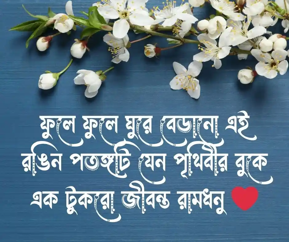 প্রজাপতি নিয়ে ক্যাপশন প্রজাপতি নিয়ে স্ট্যাটাস