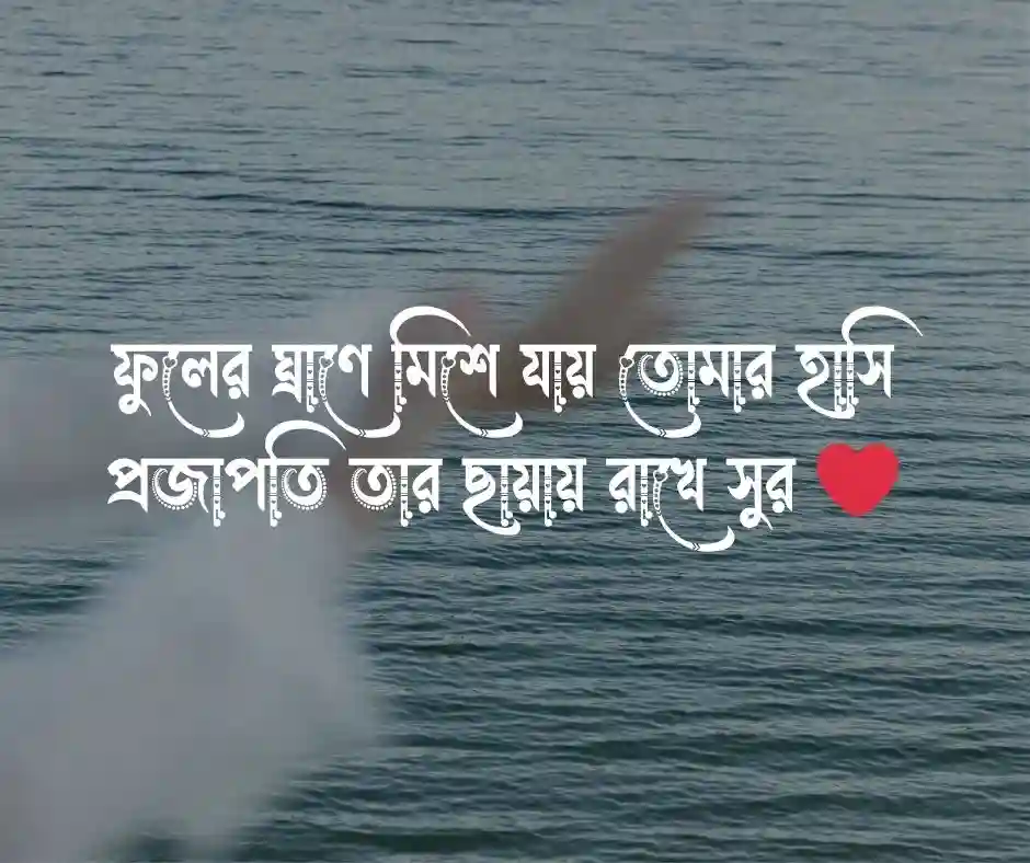 প্রজাপতি নিয়ে প্রেমের কবিতা
