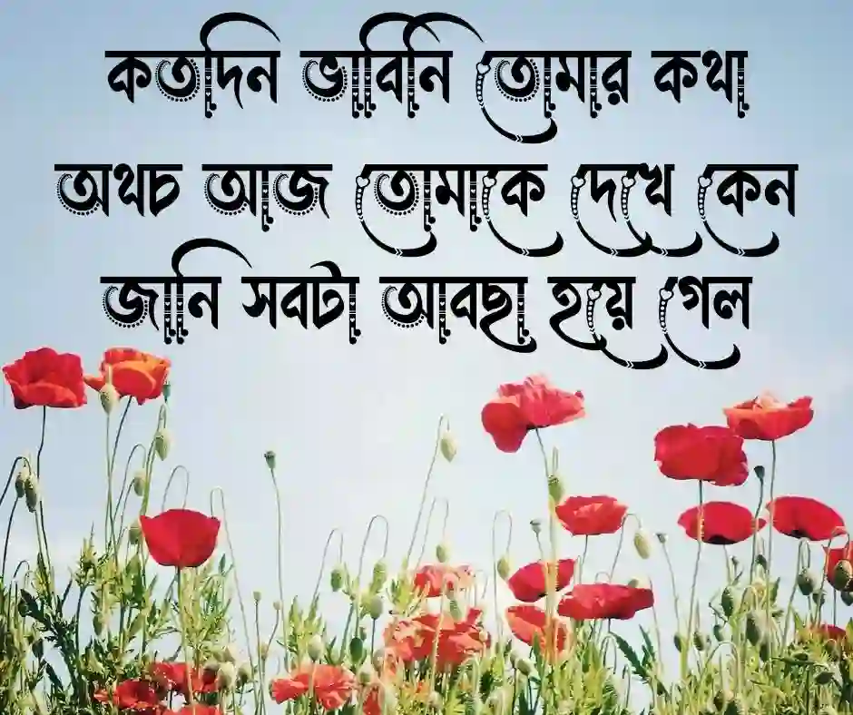 প্রিয় মানুষের সাথে হঠাৎ দেখা নিয়ে ক্যাপশন