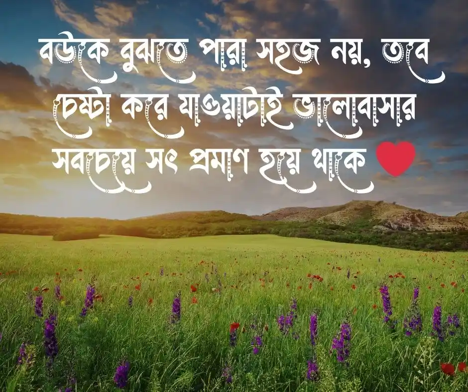 বউ নিয়ে কিছু কথা
