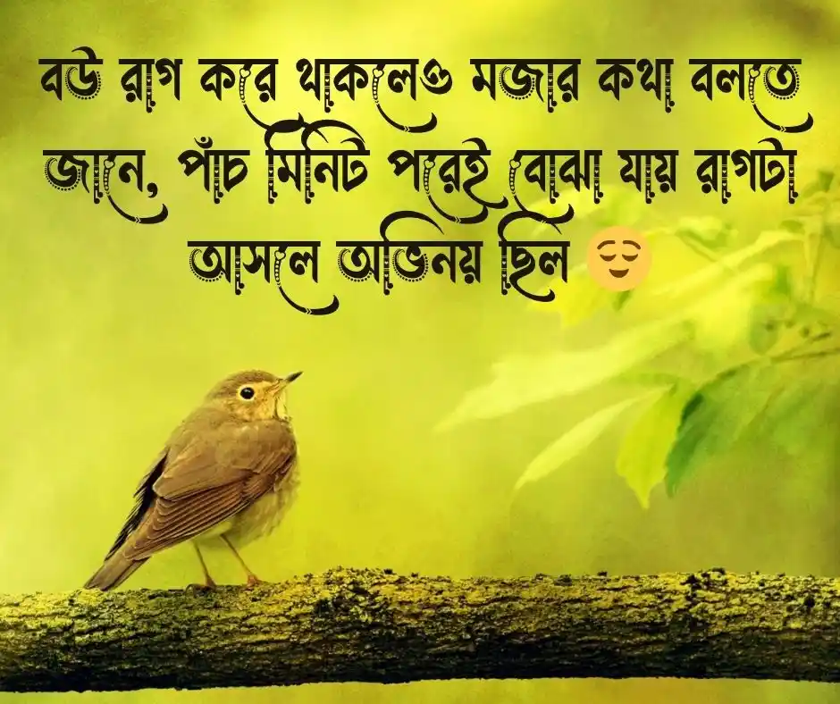 বউ নিয়ে হাসির উক্তি