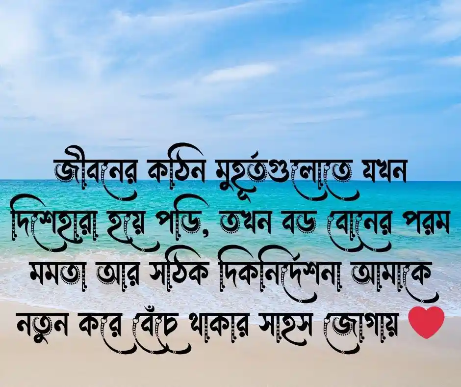 বড় বোন নিয়ে স্ট্যাটাস বড় বোন নিয়ে ক্যাপশন