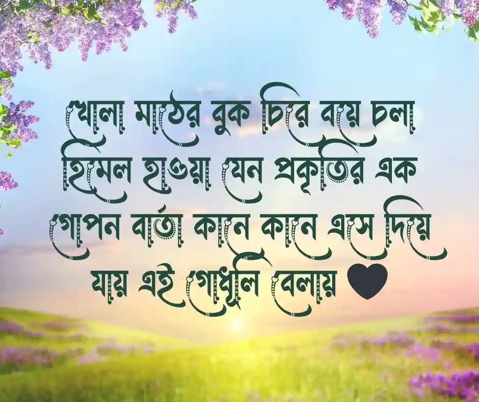 বিকেলের প্রকৃতি নিয়ে ক্যাপশন