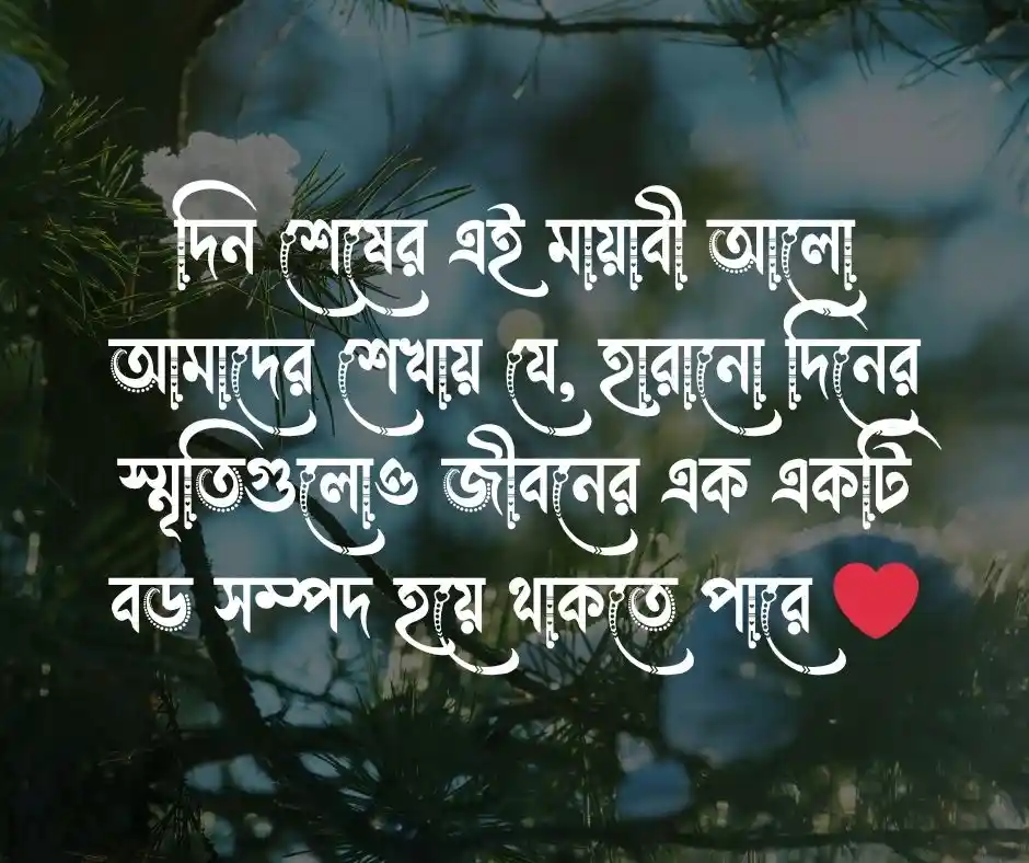 বিকেল নিয়ে ক্যাপশন বিকালের ক্যাপশন