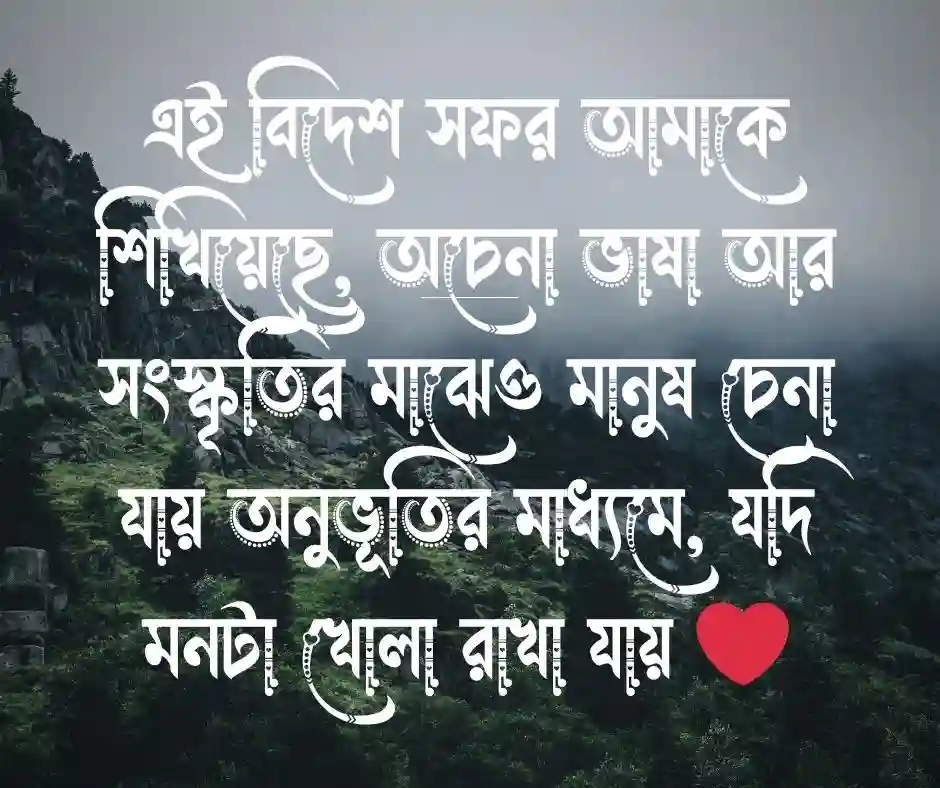 বিদেশ ভ্রমণ নিয়ে স্ট্যাটাস