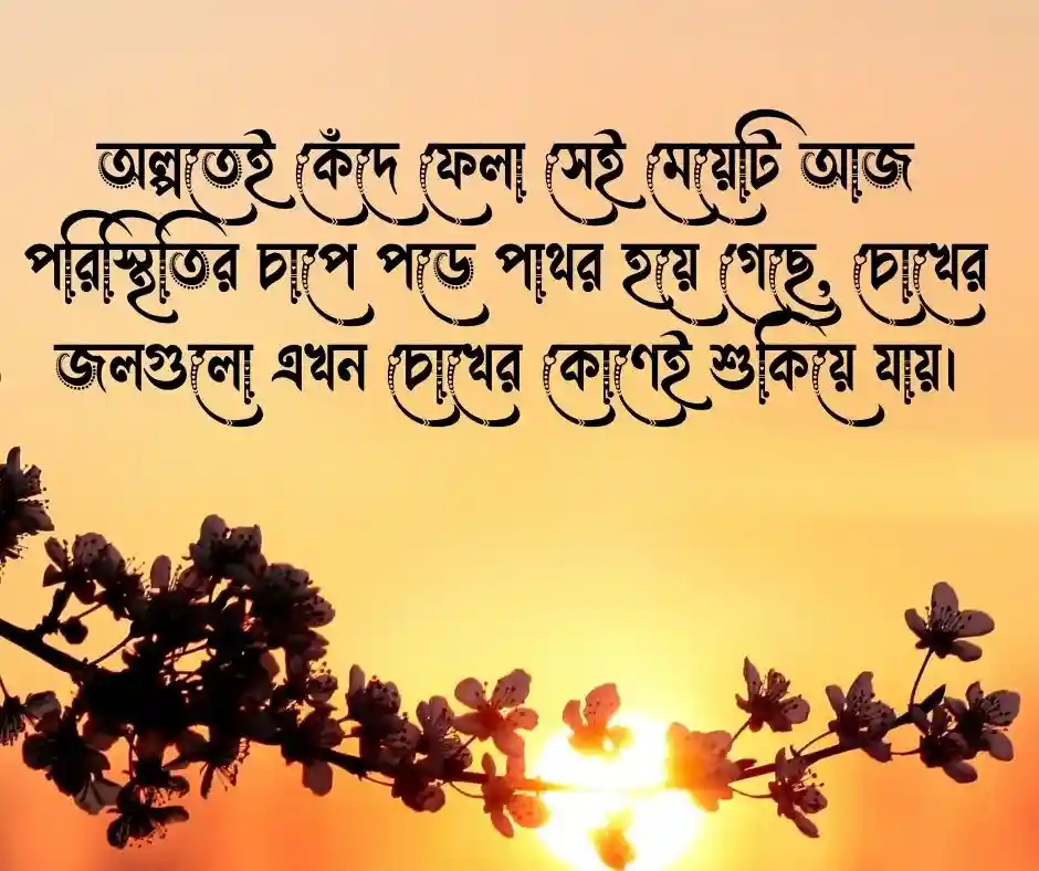 বিবাহিত মেয়েদের কষ্টের স্ট্যাটাস