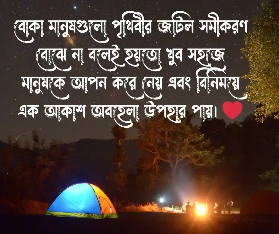 বোকা মানুষ নিয়ে উক্তি