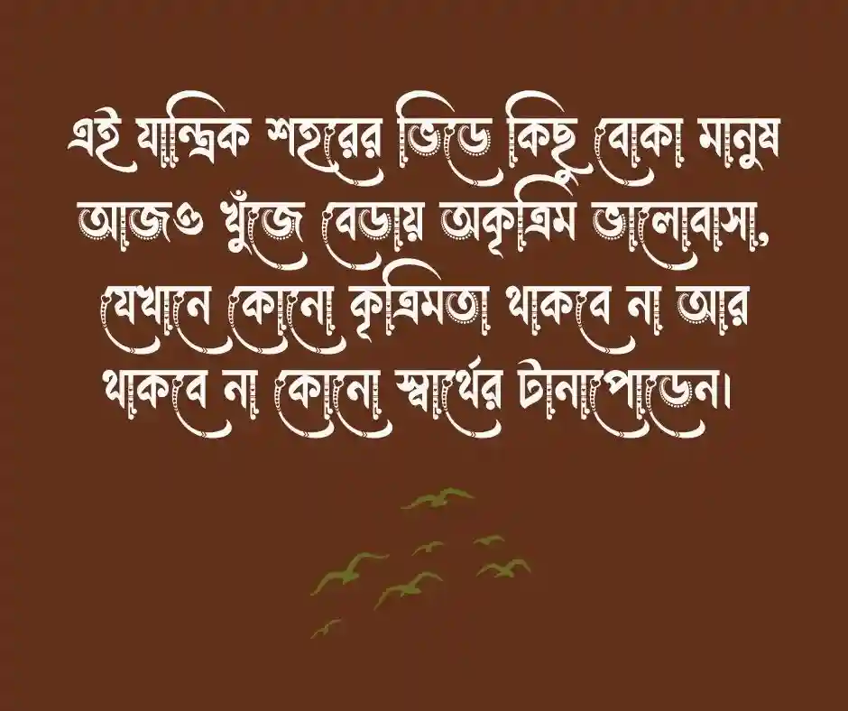 বোকা মানুষ নিয়ে উক্তি