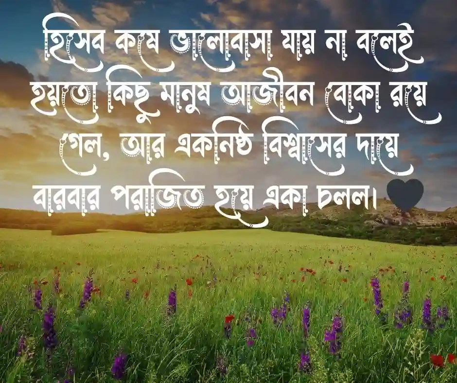 বোকা মানুষ নিয়ে স্ট্যাটাস