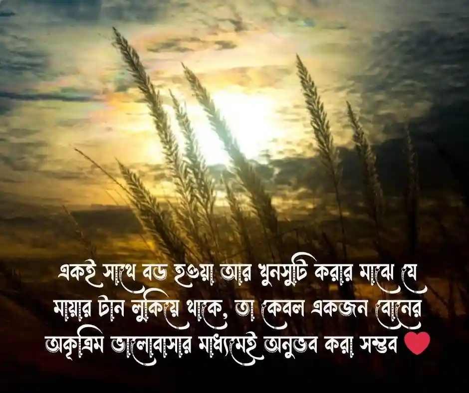 বোন নিয়ে ক্যাপশন বোন নিয়ে স্ট্যাটাস