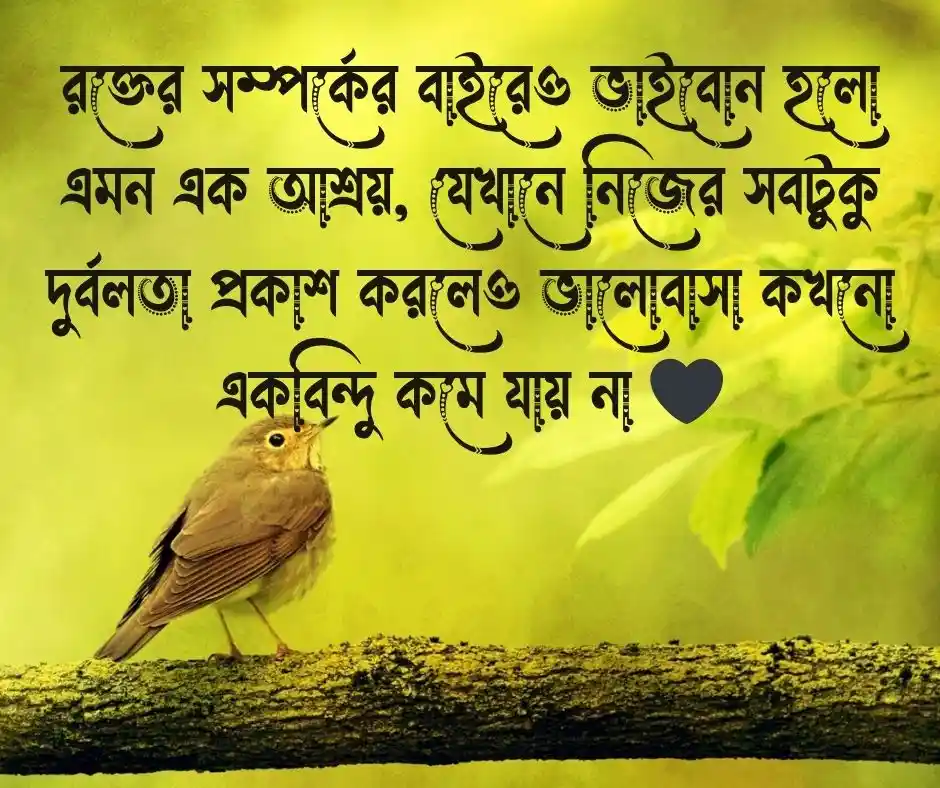 ভাই বোন কে নিয়ে স্ট্যাটাস
