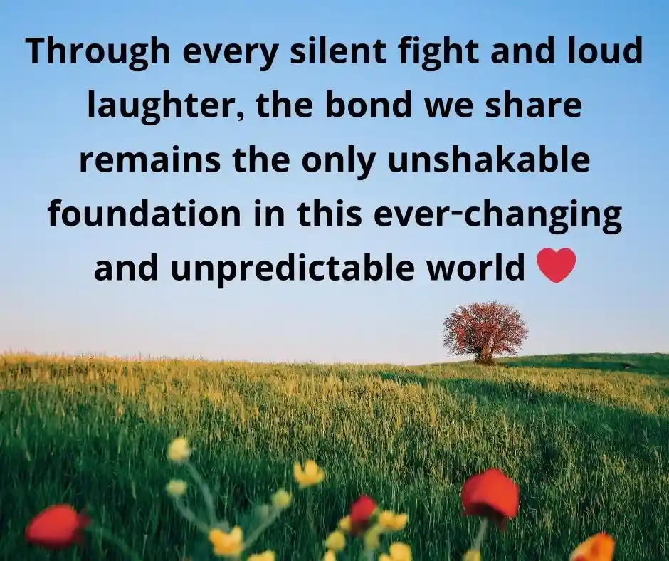 ভাই বোন নিয়ে স্ট্যাটাস ইংরেজি