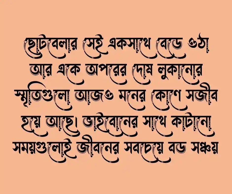 ভাই বোন নিয়ে স্ট্যাটাস বাংলা .