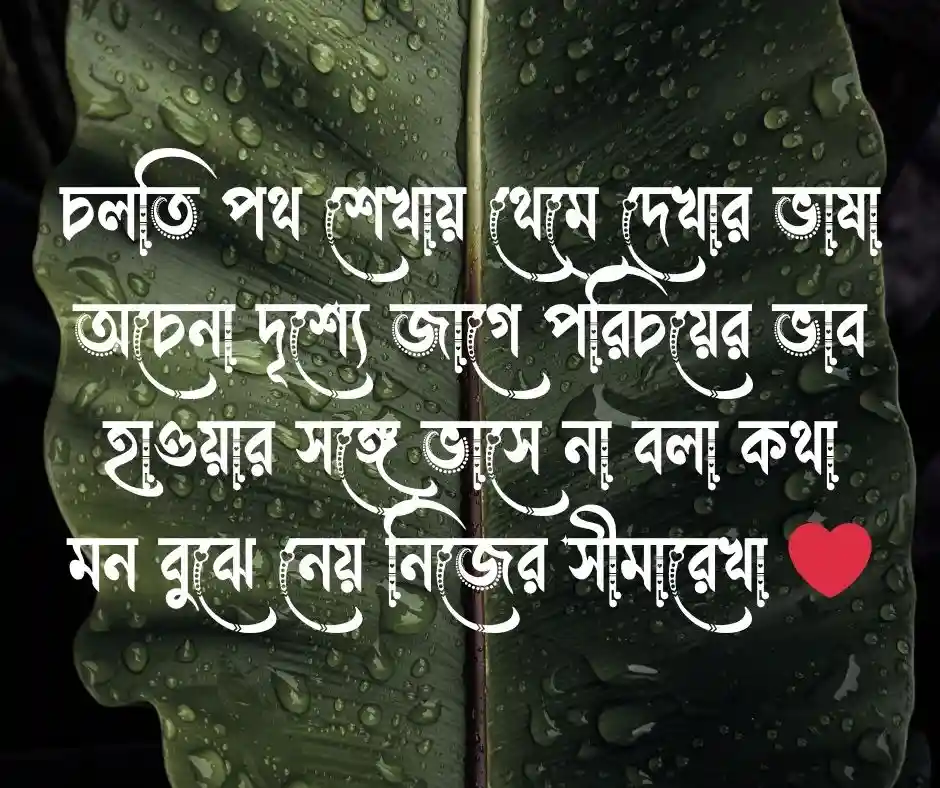 ভ্রমন নিয়ে কবিতা