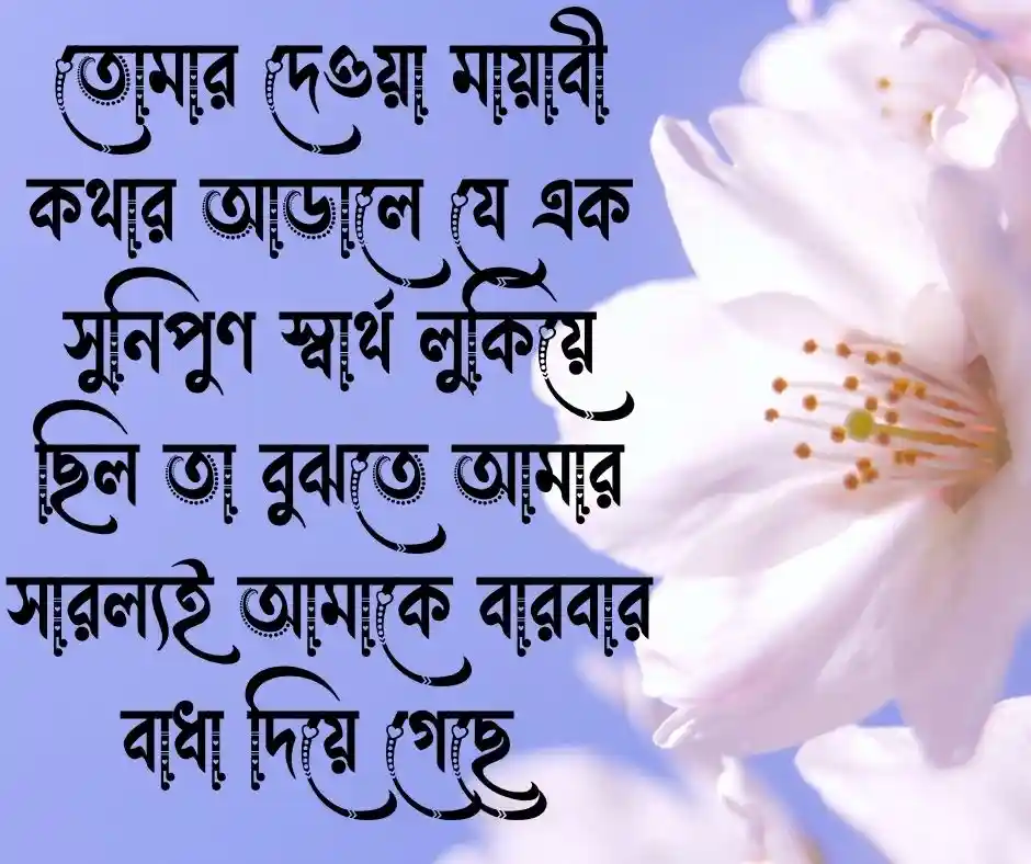 মিথ্যা ভালোবাসার ক্যাপশন