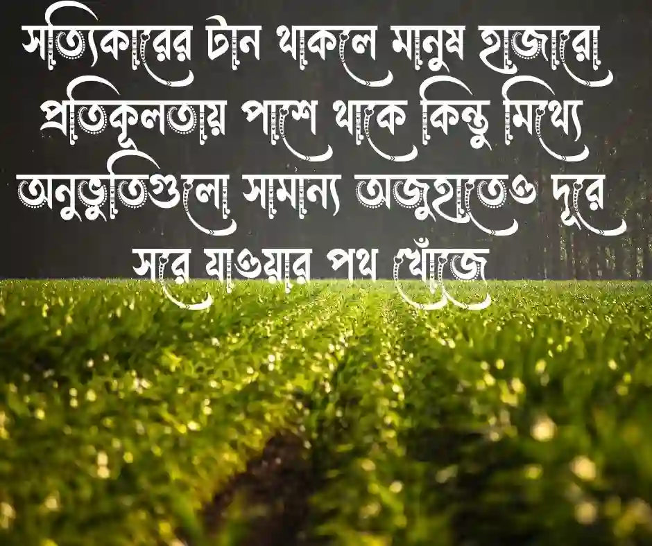 মিথ্যা ভালোবাসা নিয়ে উক্তি মিথ্যা ভালোবাসার উক্তি