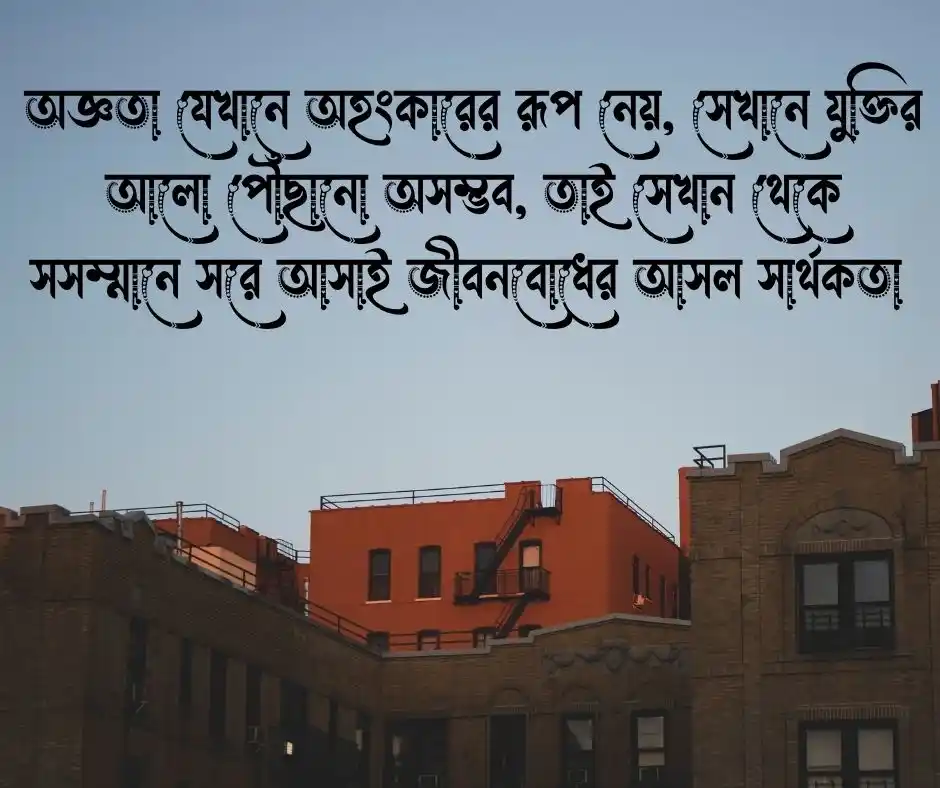 মূর্খের সাথে তর্ক করা নিরর্থক ক্যাপশন