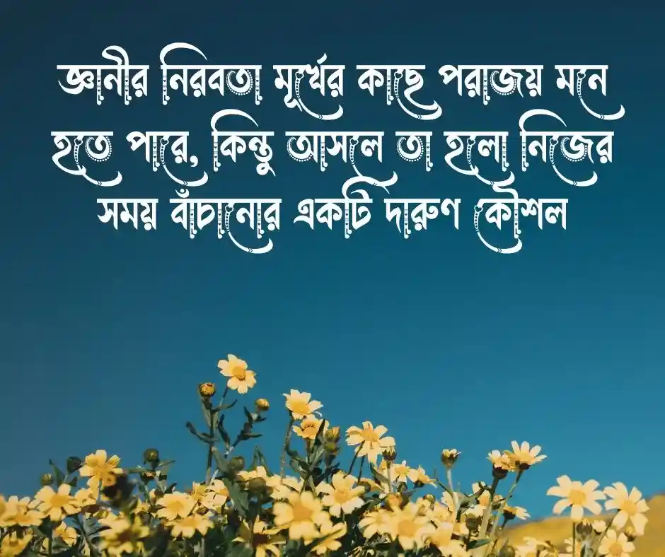 মূর্খের সাথে তর্ক নিয়ে উক্তি