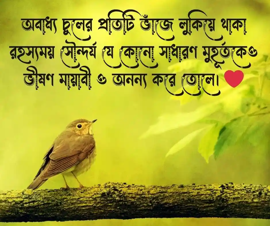 মেয়েদের চুল নিয়ে প্রসংশা